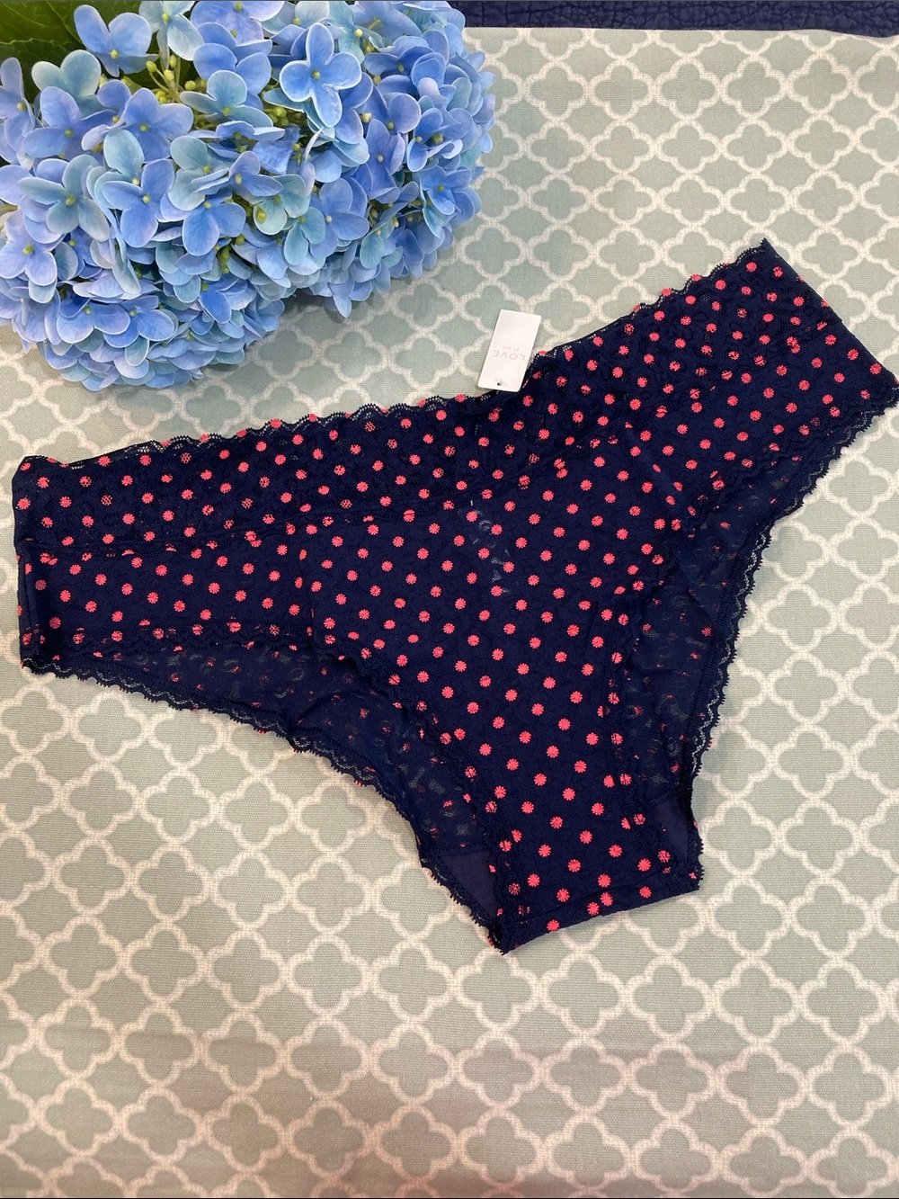 GAP Pink Floral Dot Navy Lace Cheeky XL NWT